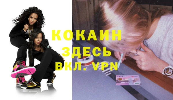 шишки Пестово